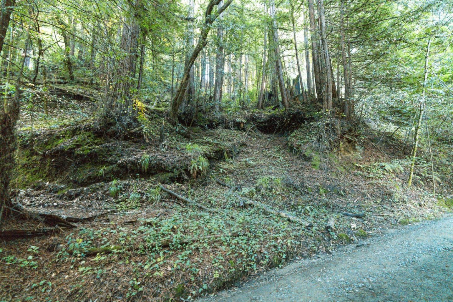 Detail Gallery Image 4 of 24 For 0 Pringle Ln, Soquel,  CA 95073 - – Beds | – Baths