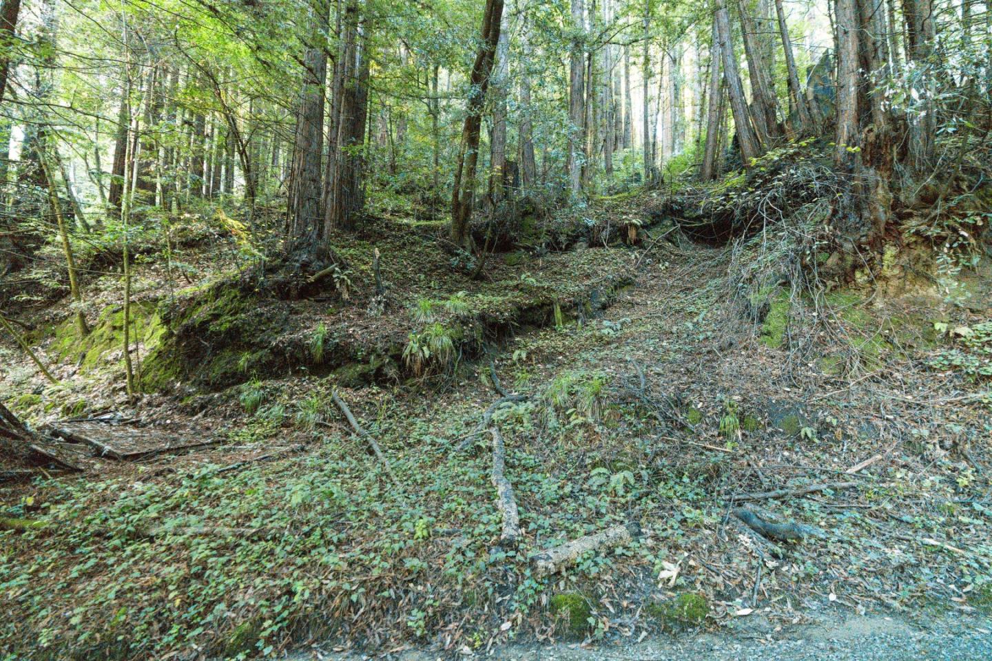 Detail Gallery Image 5 of 24 For 0 Pringle Ln, Soquel,  CA 95073 - – Beds | – Baths