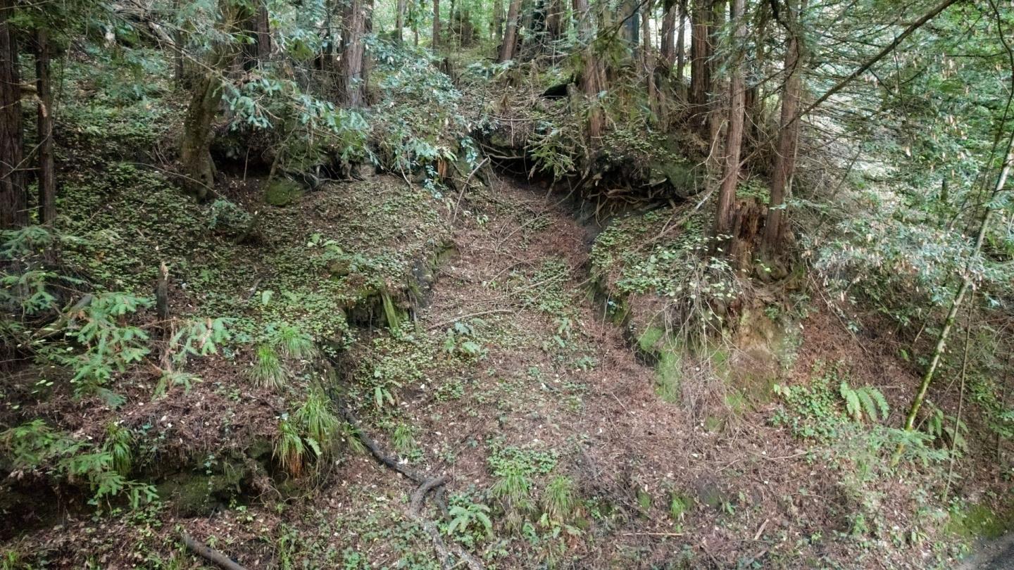 Detail Gallery Image 6 of 24 For 0 Pringle Ln, Soquel,  CA 95073 - – Beds | – Baths