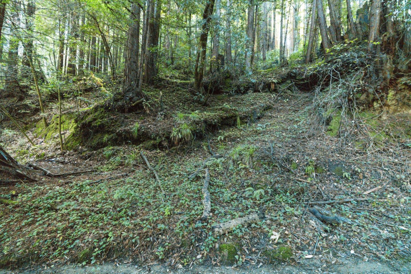 Detail Gallery Image 9 of 24 For 0 Pringle Ln, Soquel,  CA 95073 - – Beds | – Baths