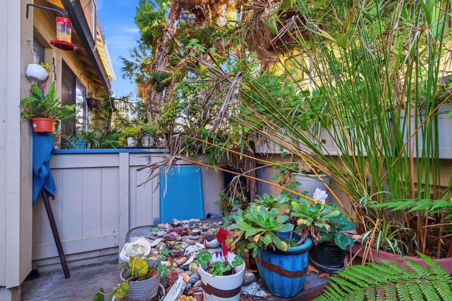 Detail Gallery Image 24 of 27 For 229 Silver Leaf Dr #B,  Watsonville,  CA 95076 - 3 Beds | 1/1 Baths