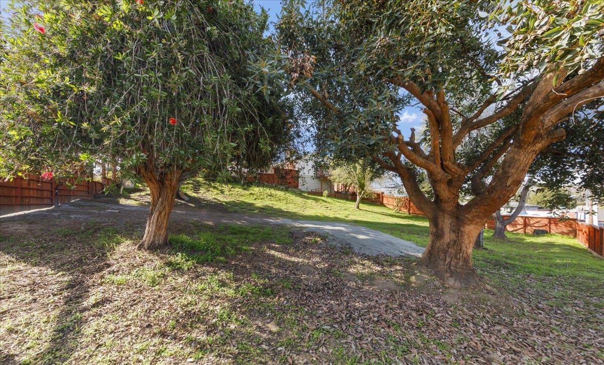 Detail Gallery Image 52 of 69 For 2715 Lafayette St, Soquel,  CA 95073 - 3 Beds | 2 Baths