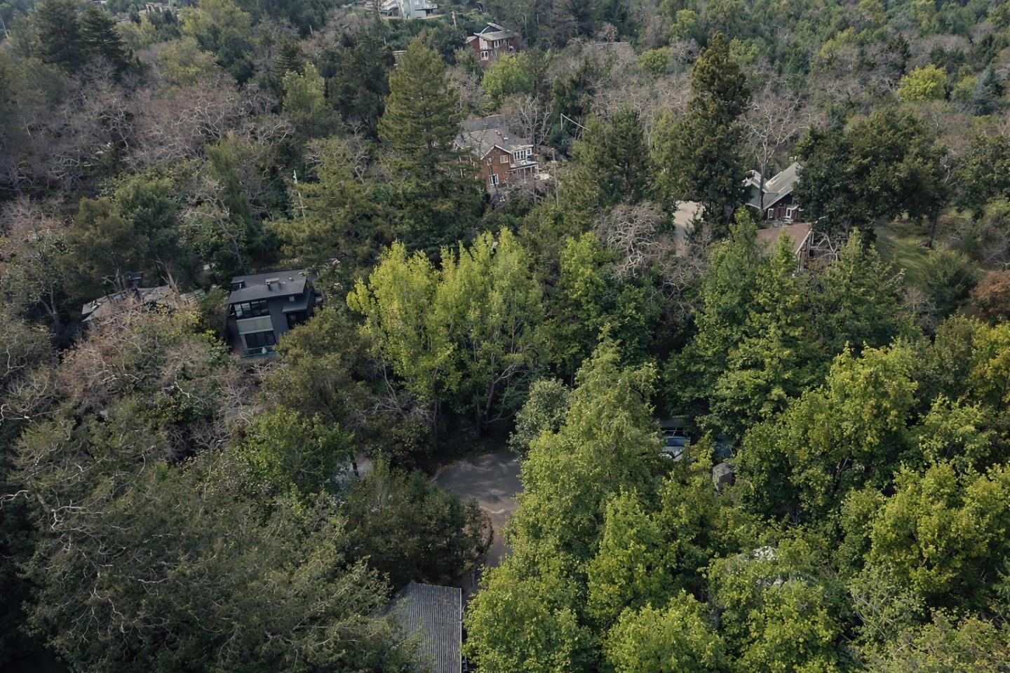 Detail Gallery Image 8 of 11 For 1050 Los Trancos Rd, Portola Valley,  CA 94028 - – Beds | – Baths