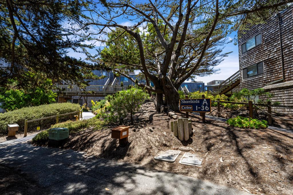 Front Image Thumbnail for ML82033731