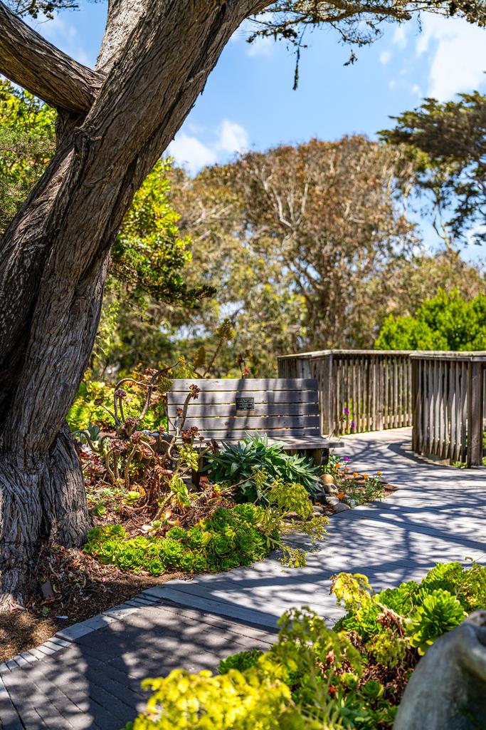 Detail Gallery Image 22 of 52 For 101 Shell Dr #3,  Watsonville,  CA 95076 - 2 Beds | 2 Baths