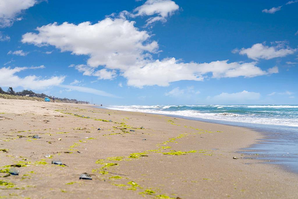 Detail Gallery Image 33 of 52 For 101 Shell Dr #3,  Watsonville,  CA 95076 - 2 Beds | 2 Baths