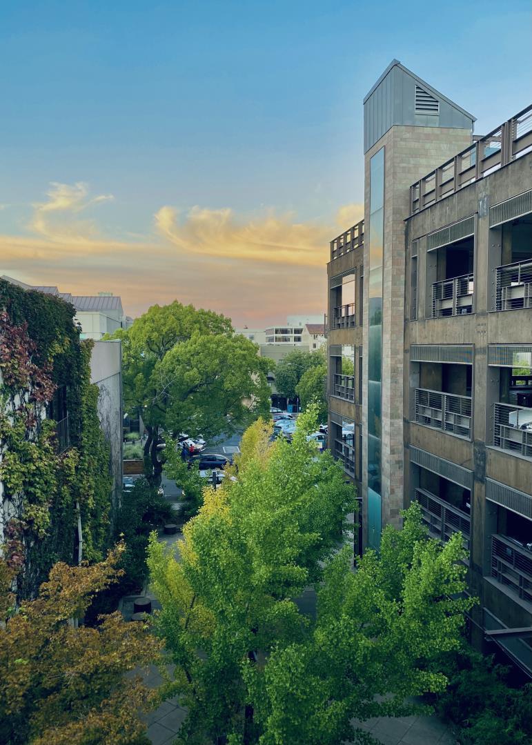 Detail Gallery Image 39 of 45 For 102 University Ave 3a 3b 3c,  Palo Alto,  CA 94301 - 6 Beds | 7/2 Baths