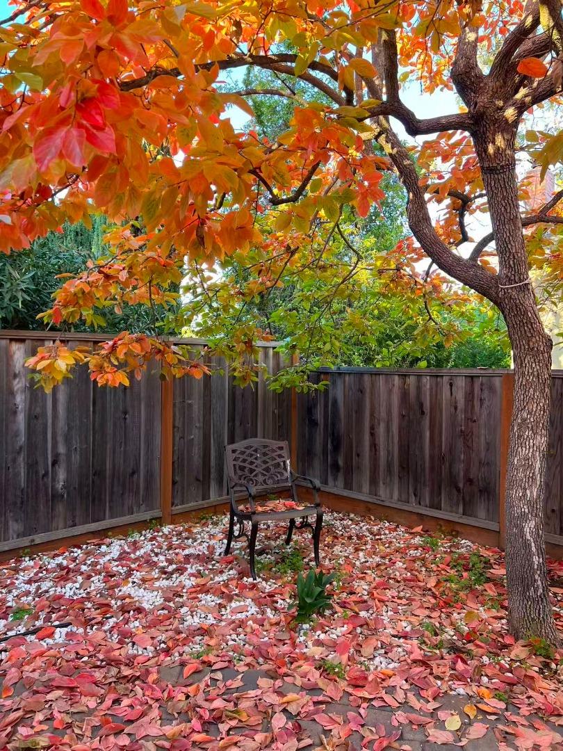 Detail Gallery Image 73 of 74 For 1674 S Stelling Rd, Cupertino,  CA 95014 - 3 Beds | 3 Baths