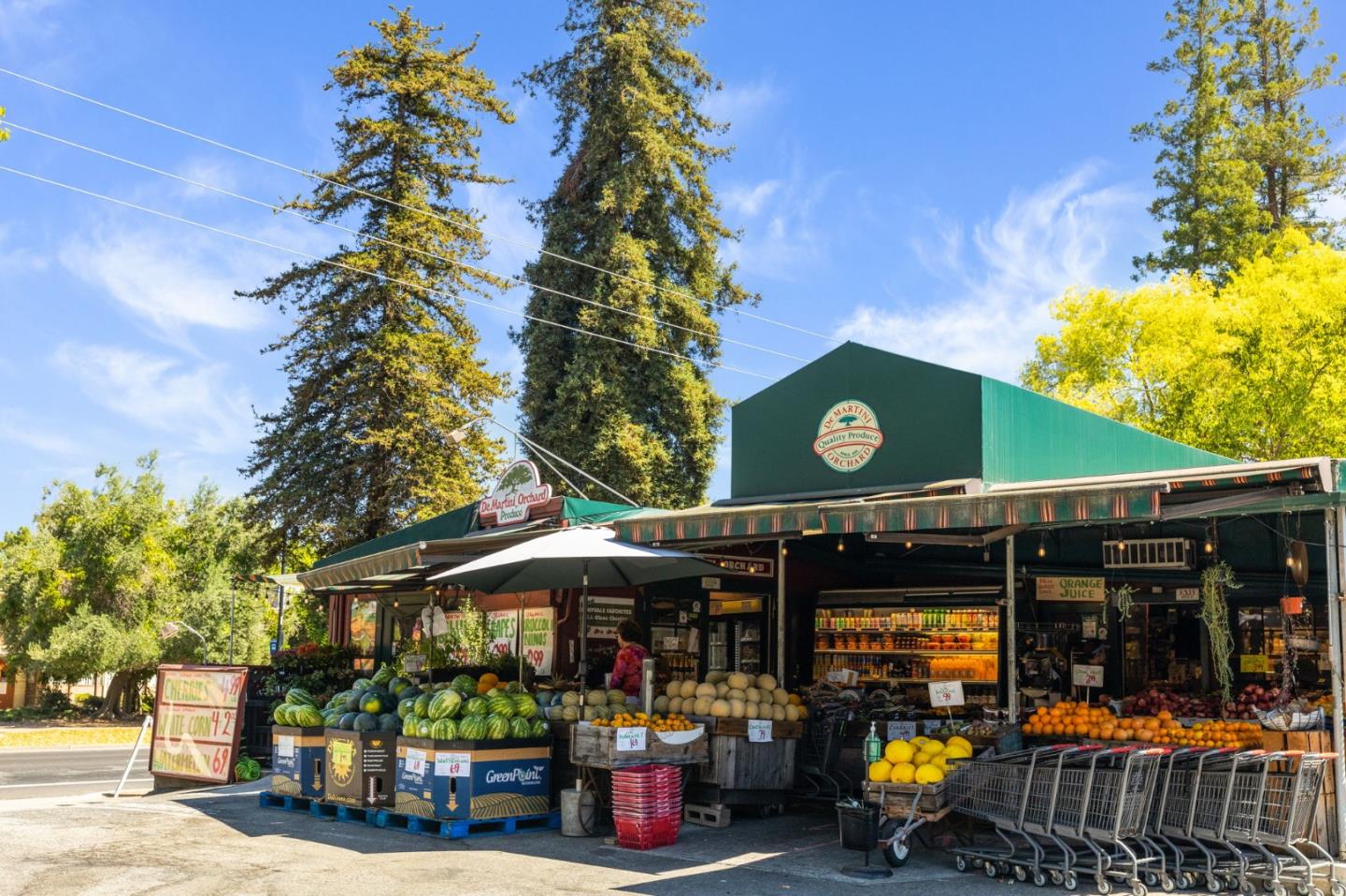 Detail Gallery Image 33 of 34 For 484 Gabilan St, Los Altos,  CA 94022 - 3 Beds | 2/1 Baths