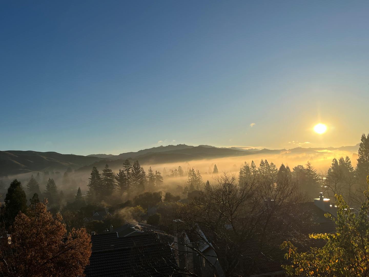 Detail Gallery Image 32 of 67 For 118 Merion Ter, Moraga,  CA 94556 - 4 Beds | 2/1 Baths