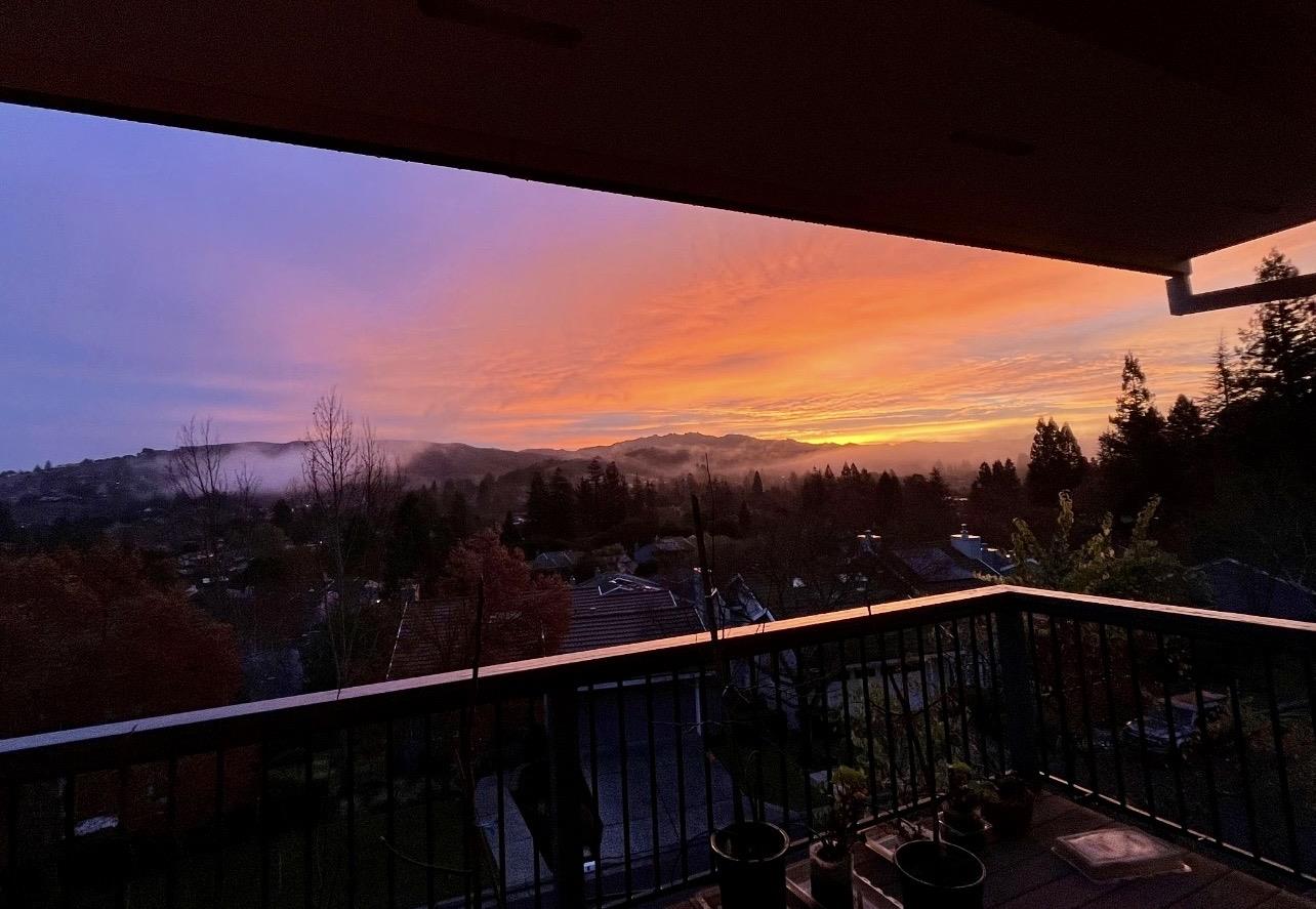 Detail Gallery Image 34 of 67 For 118 Merion Ter, Moraga,  CA 94556 - 4 Beds | 2/1 Baths