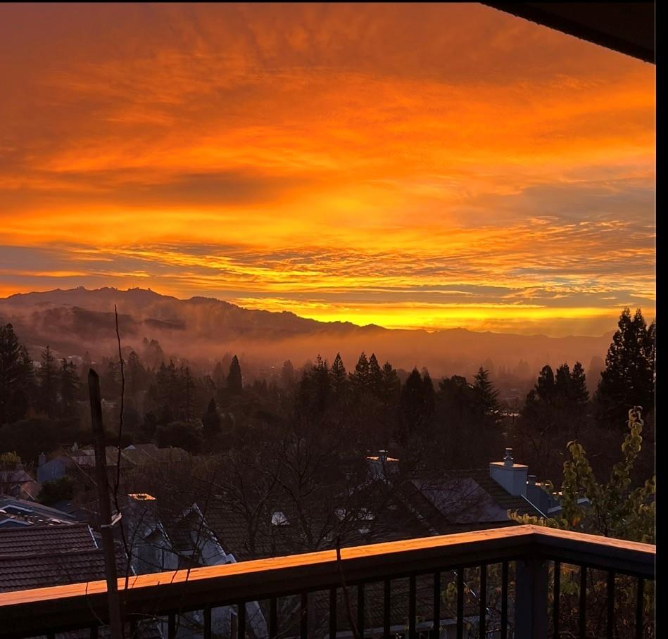 Detail Gallery Image 35 of 67 For 118 Merion Ter, Moraga,  CA 94556 - 4 Beds | 2/1 Baths