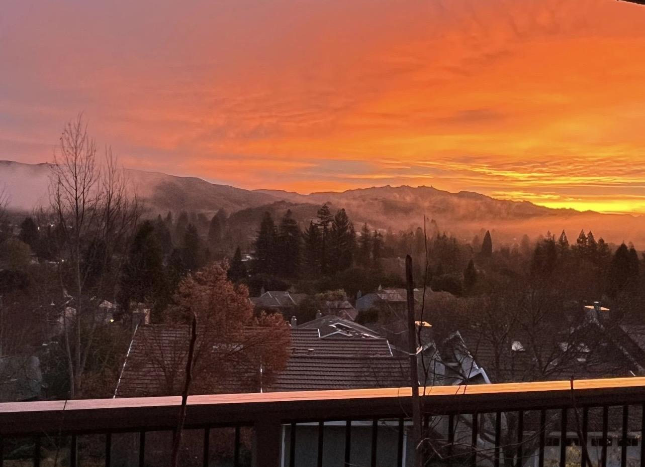 Detail Gallery Image 36 of 67 For 118 Merion Ter, Moraga,  CA 94556 - 4 Beds | 2/1 Baths