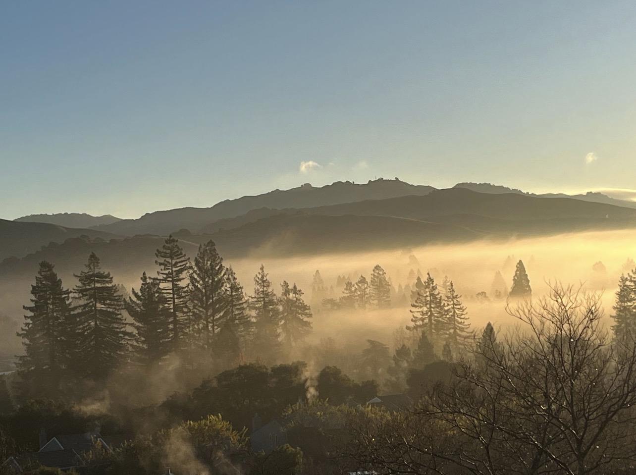 Detail Gallery Image 38 of 67 For 118 Merion Ter, Moraga,  CA 94556 - 4 Beds | 2/1 Baths