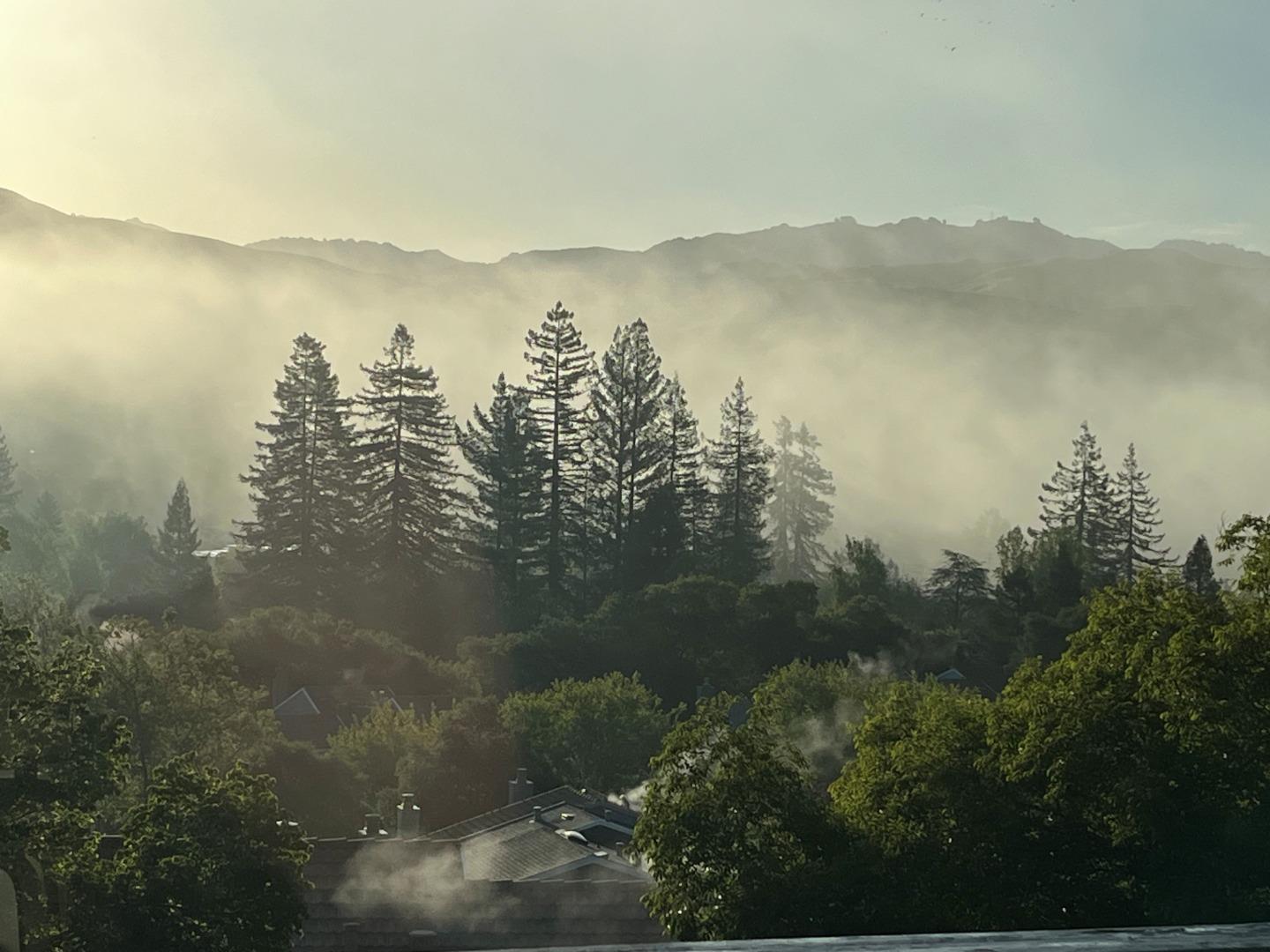 Detail Gallery Image 39 of 67 For 118 Merion Ter, Moraga,  CA 94556 - 4 Beds | 2/1 Baths