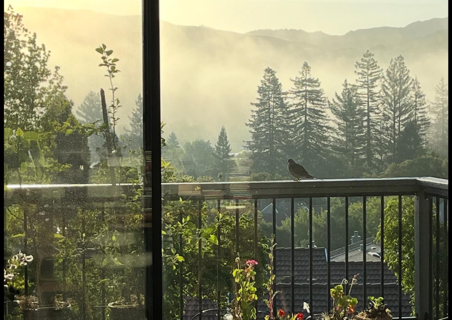 Detail Gallery Image 40 of 67 For 118 Merion Ter, Moraga,  CA 94556 - 4 Beds | 2/1 Baths