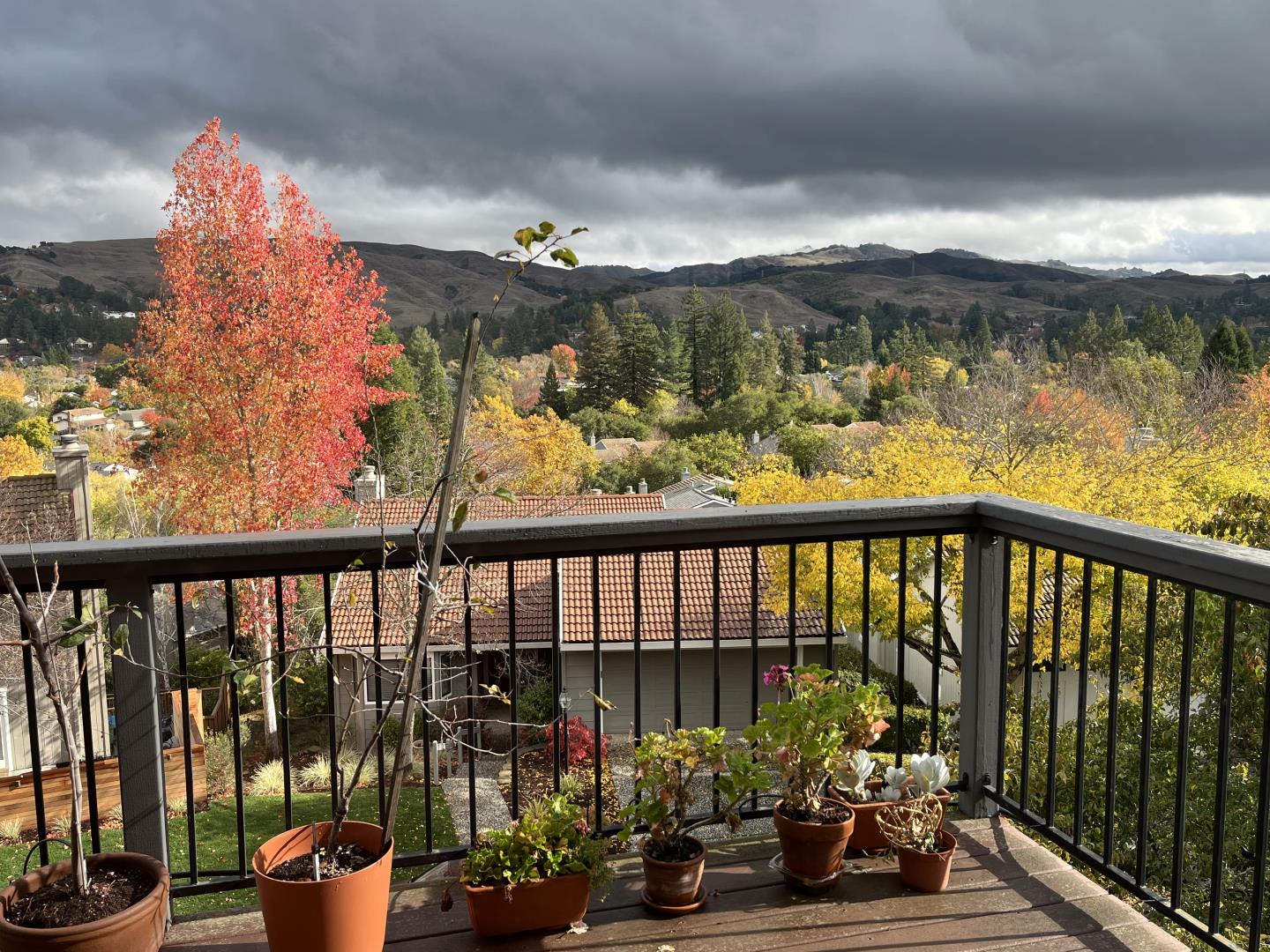 Detail Gallery Image 41 of 67 For 118 Merion Ter, Moraga,  CA 94556 - 4 Beds | 2/1 Baths