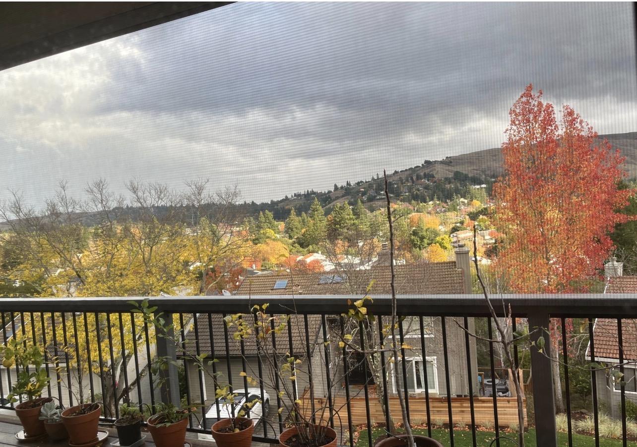 Detail Gallery Image 43 of 67 For 118 Merion Ter, Moraga,  CA 94556 - 4 Beds | 2/1 Baths