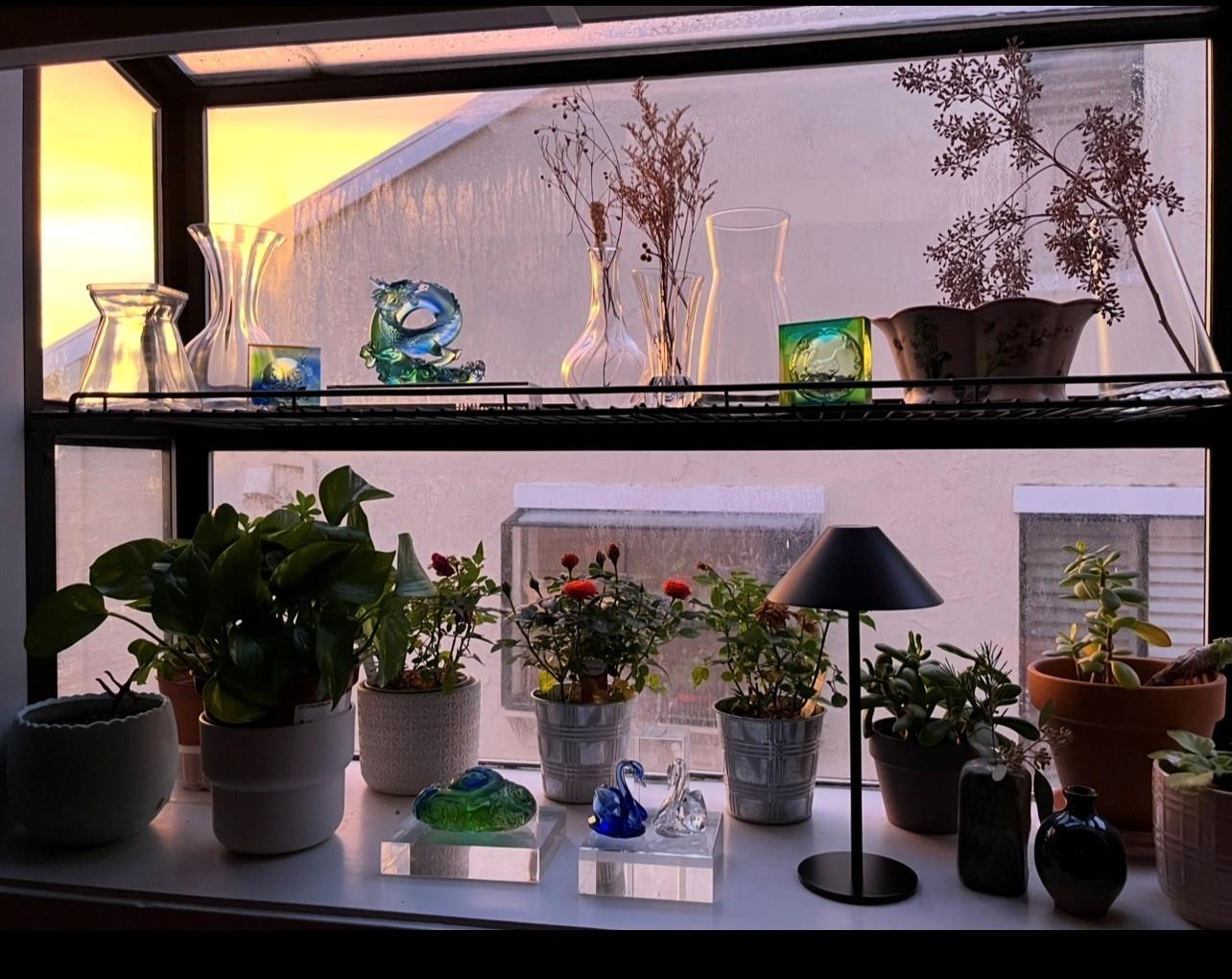 Detail Gallery Image 44 of 67 For 118 Merion Ter, Moraga,  CA 94556 - 4 Beds | 2/1 Baths