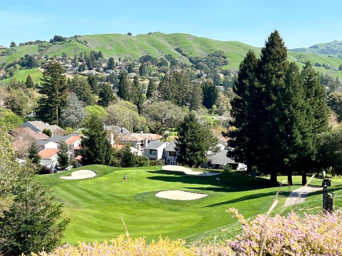 Detail Gallery Image 51 of 67 For 118 Merion Ter, Moraga,  CA 94556 - 4 Beds | 2/1 Baths