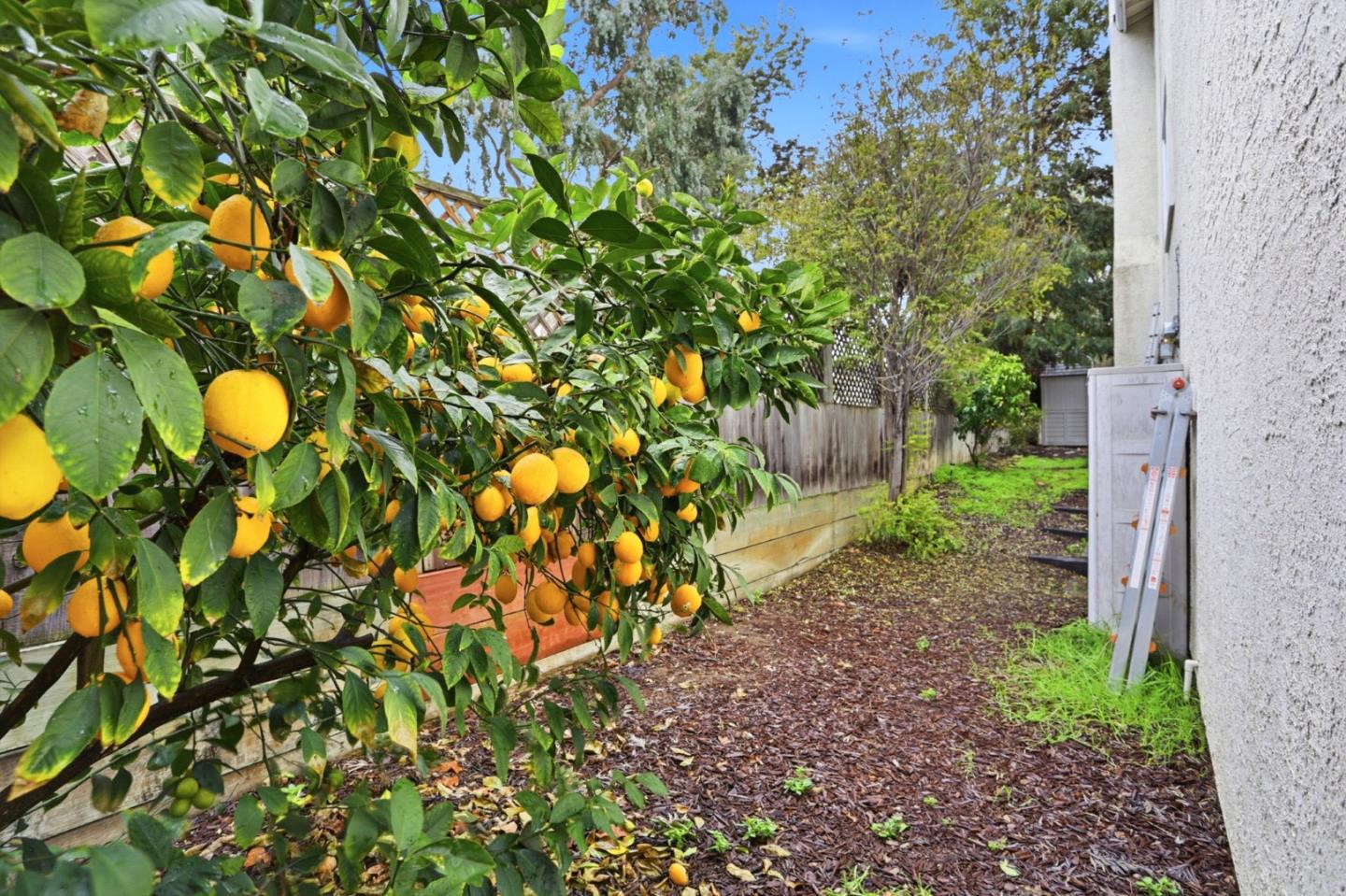 Detail Gallery Image 33 of 33 For 3572 Sunnydays Ln, Santa Clara,  CA 95051 - 4 Beds | 2/1 Baths