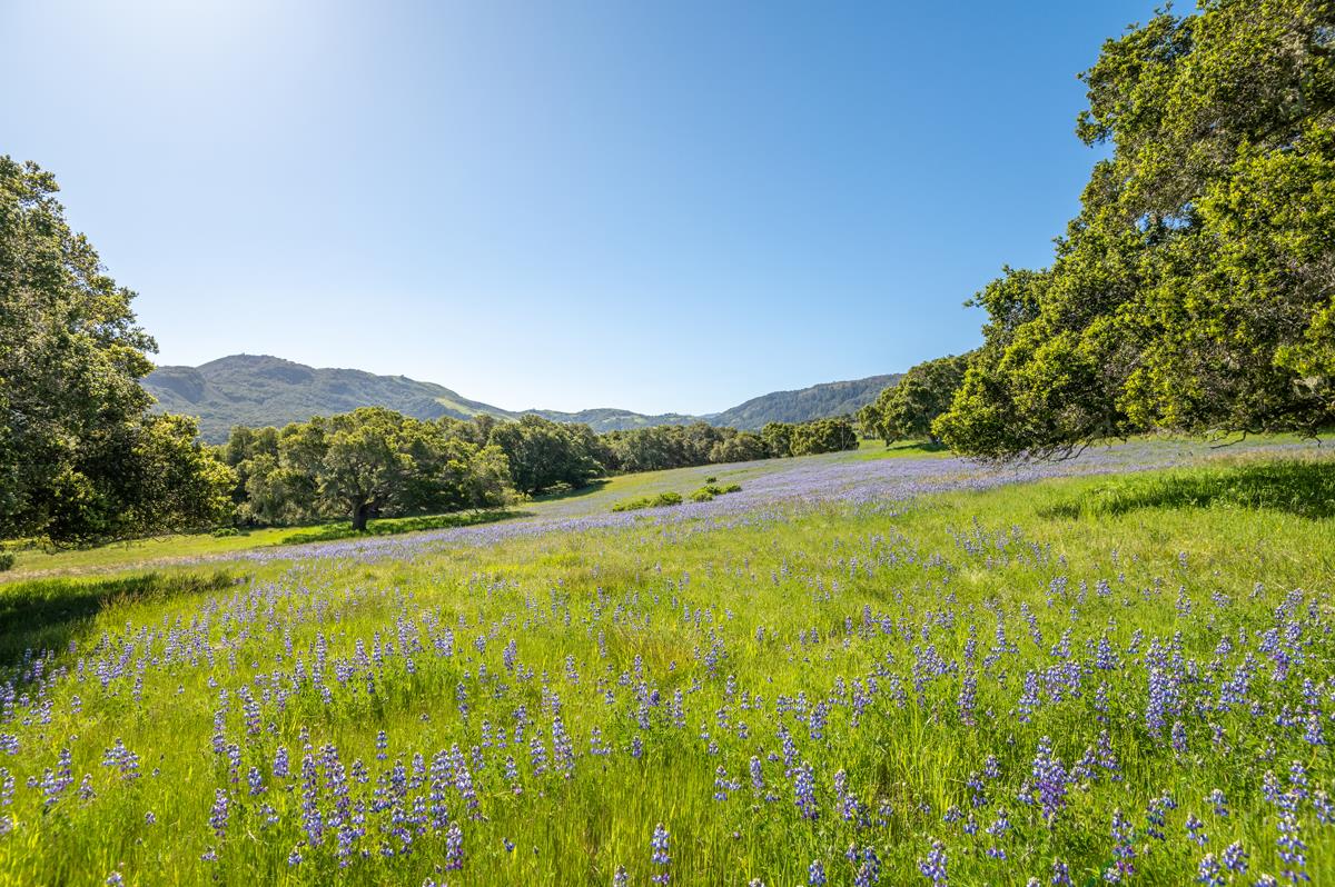 Front Image Thumbnail for ML82033837