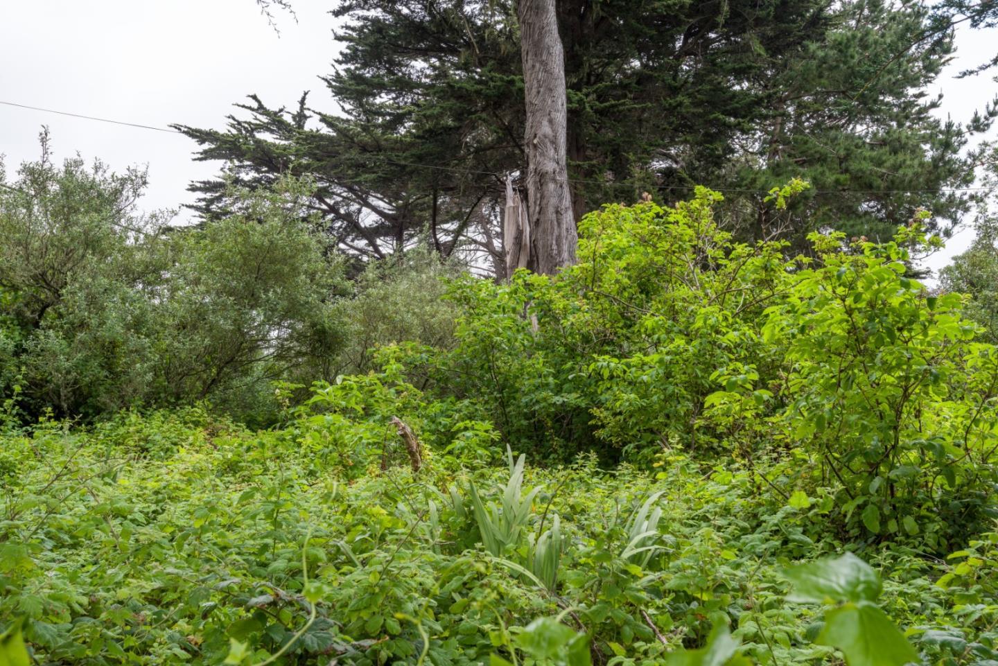 0000 Oak Avenue, Moss Beach, CA, 94038