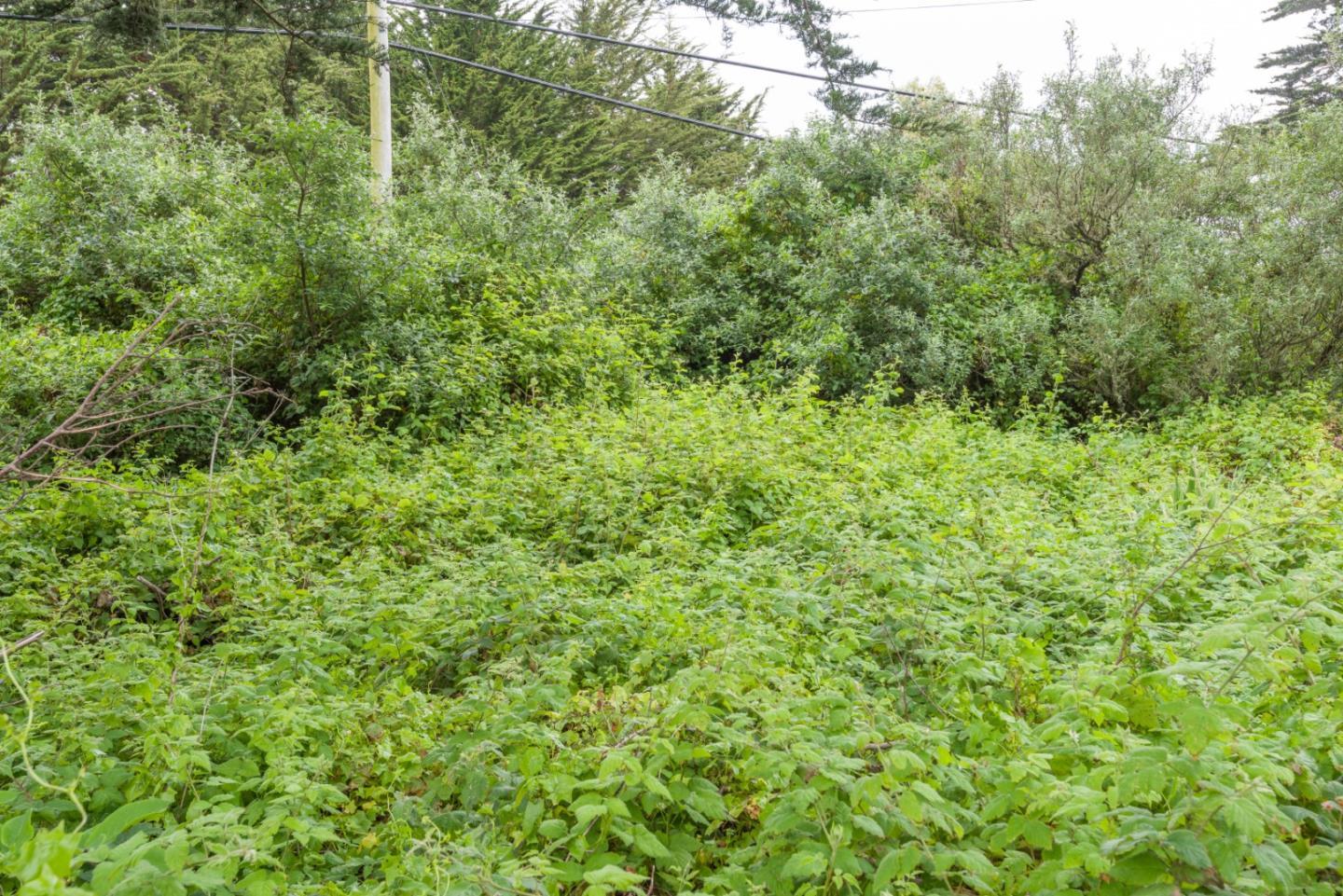 0000 Oak Avenue, Moss Beach, CA, 94038