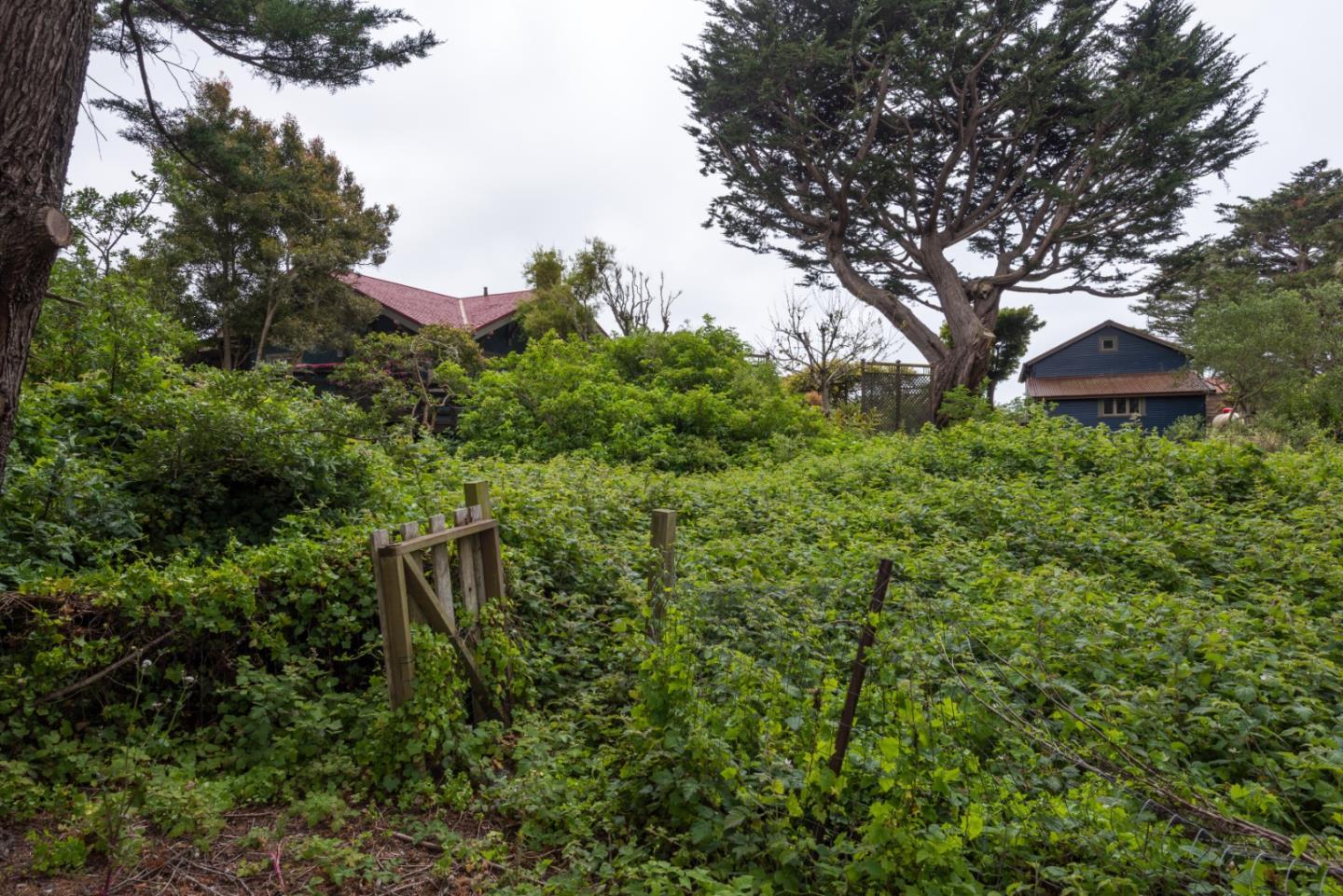 0000 Oak Avenue, Moss Beach, CA, 94038