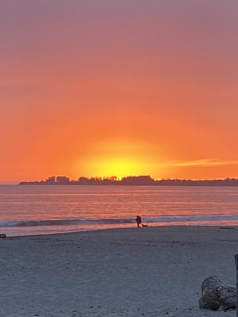 Detail Gallery Image 31 of 37 For 423 Hillcrest Dr, Aptos,  CA 95003 - 3 Beds | 2 Baths