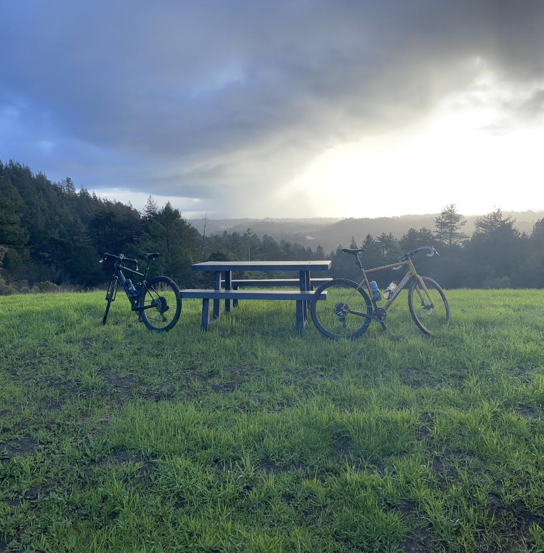 Detail Gallery Image 35 of 37 For 423 Hillcrest Dr, Aptos,  CA 95003 - 3 Beds | 2 Baths
