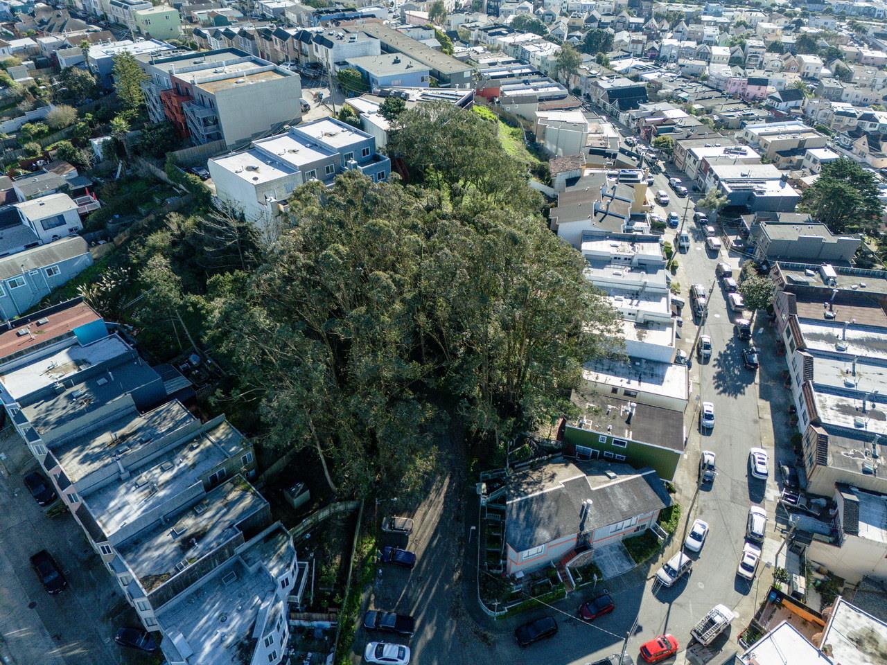 Detail Gallery Image 12 of 15 For 1 Head St, San Francisco,  CA 94112 - – Beds | – Baths