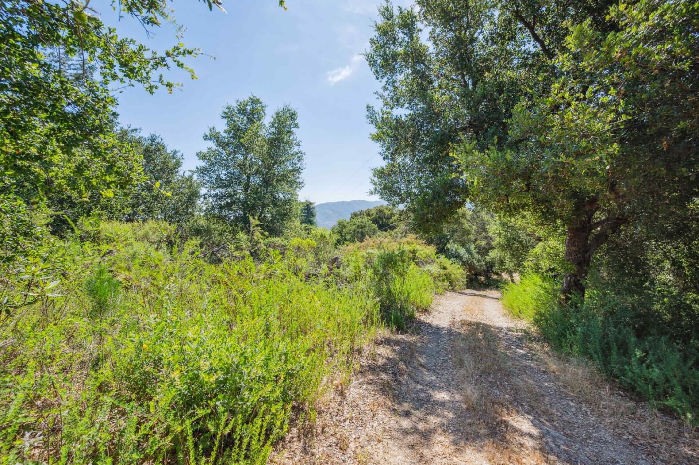 Detail Gallery Image 5 of 23 For 0 Montevina Rd, Los Gatos,  CA 95030 - – Beds | – Baths