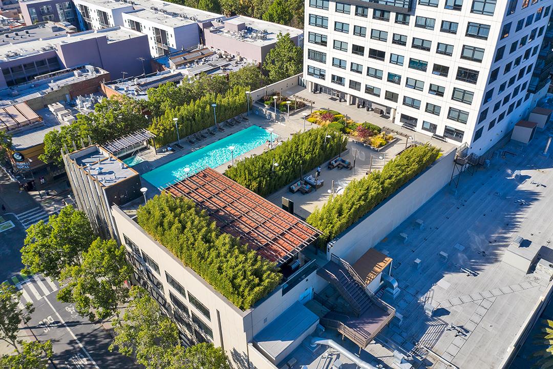 Detail Gallery Image 3 of 46 For 88 E San Fernando St #1203,  San Jose,  CA 95113 - 2 Beds | 2/1 Baths