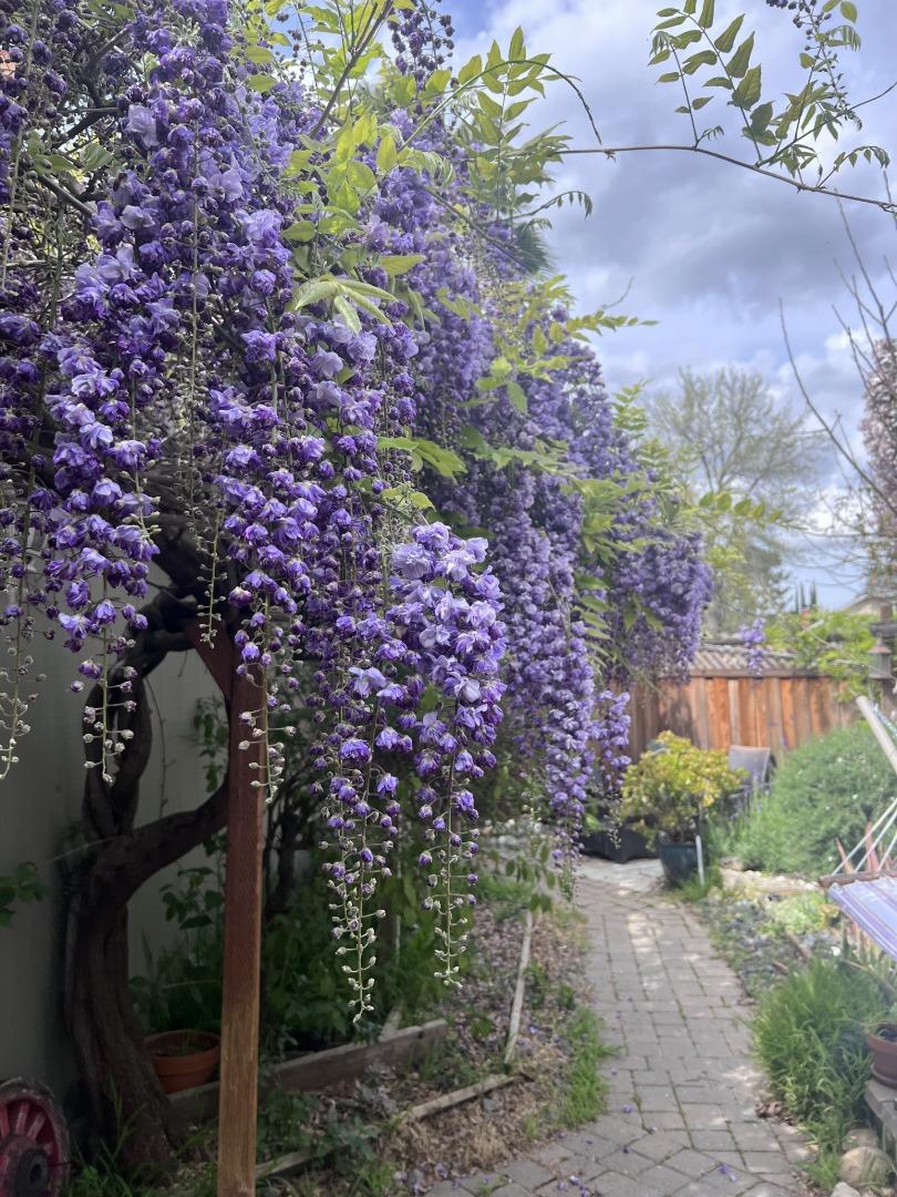 Detail Gallery Image 33 of 43 For 1660 Tawnygate Way, San Jose,  CA 95124 - 3 Beds | 2 Baths