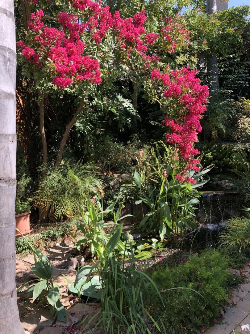 Detail Gallery Image 34 of 43 For 1660 Tawnygate Way, San Jose,  CA 95124 - 3 Beds | 2 Baths