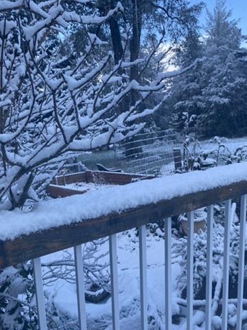 Detail Gallery Image 16 of 19 For 95 Sunlit Ln, Santa Cruz,  CA 95060 - 4 Beds | 2/1 Baths