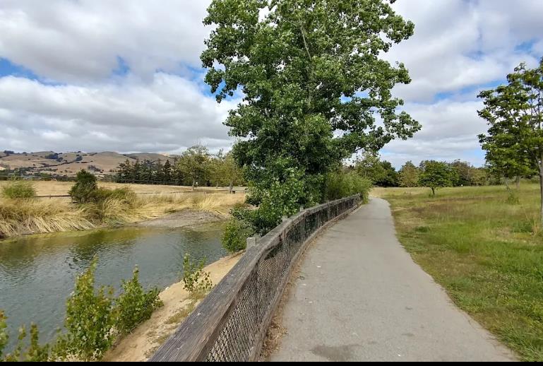 Detail Gallery Image 65 of 65 For 3332 Pepper Tree Ln, San Jose,  CA 95127 - 3 Beds | 1/1 Baths