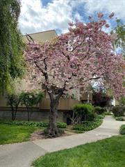 4415 Norwalk Drive UNIT 3, San Jose, CA, 95129