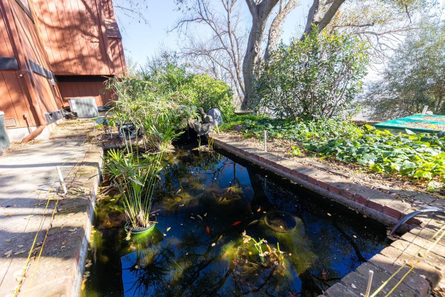 Detail Gallery Image 40 of 84 For 917 Holly Rd, Belmont,  CA 94002 - 4 Beds | 3 Baths