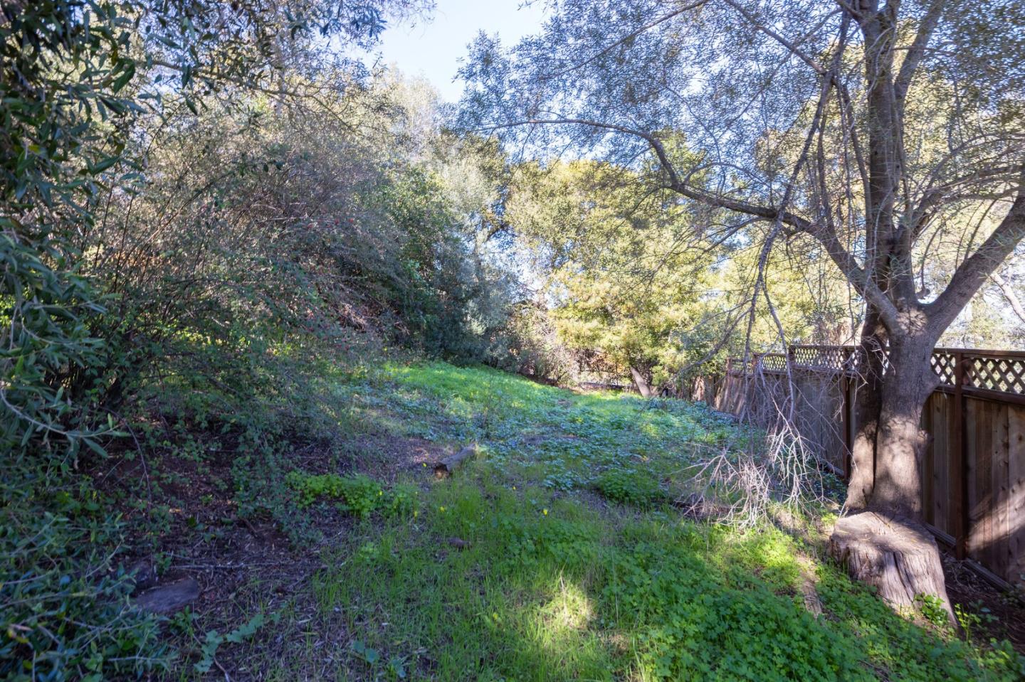 Detail Gallery Image 80 of 84 For 917 Holly Rd, Belmont,  CA 94002 - 4 Beds | 3 Baths