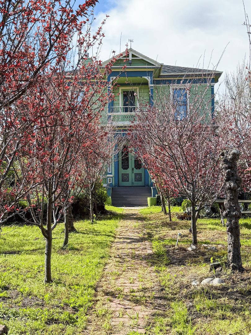 Detail Gallery Image 10 of 12 For 233 Van Ness Ave, Santa Cruz,  CA 95060 - 4 Beds | 3 Baths