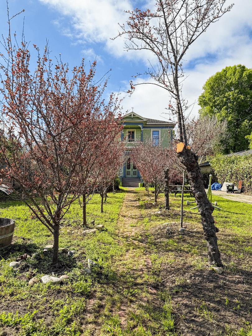 Detail Gallery Image 9 of 12 For 233 Van Ness Ave, Santa Cruz,  CA 95060 - 4 Beds | 3 Baths