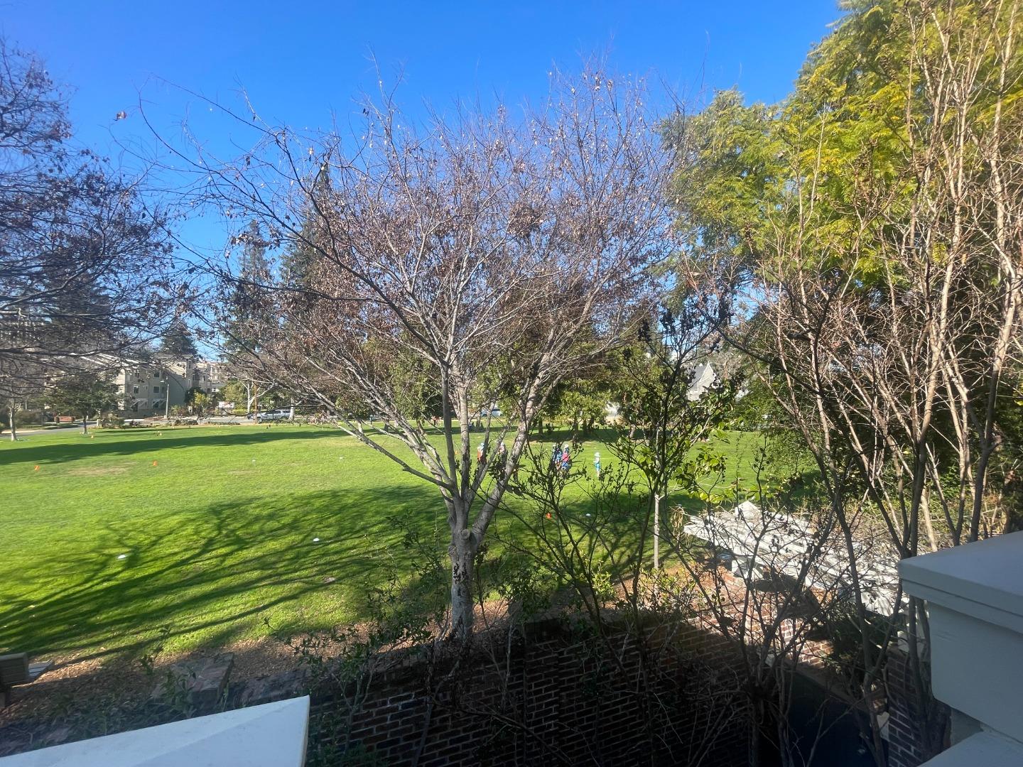 Detail Gallery Image 10 of 10 For 367 Channing Ave Studio Only,  Palo Alto,  CA 94301 - 1 Beds | 1 Baths