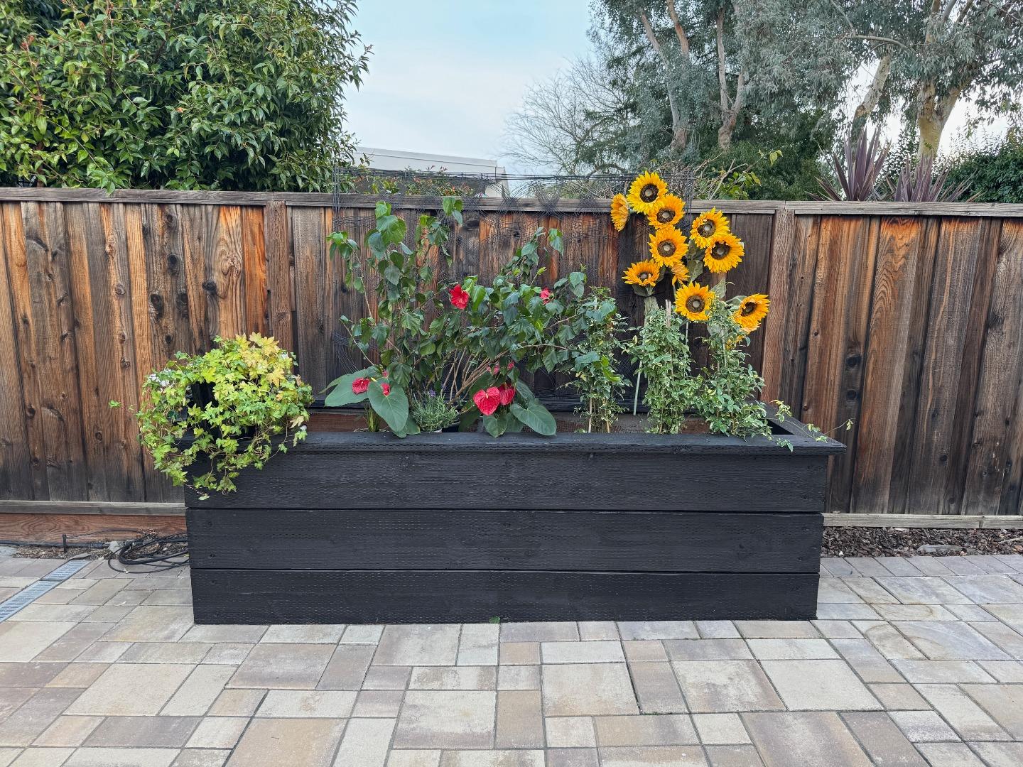 Detail Gallery Image 15 of 26 For 1276 Nancarrow Way, San Jose,  CA 95120 - 4 Beds | 2/1 Baths