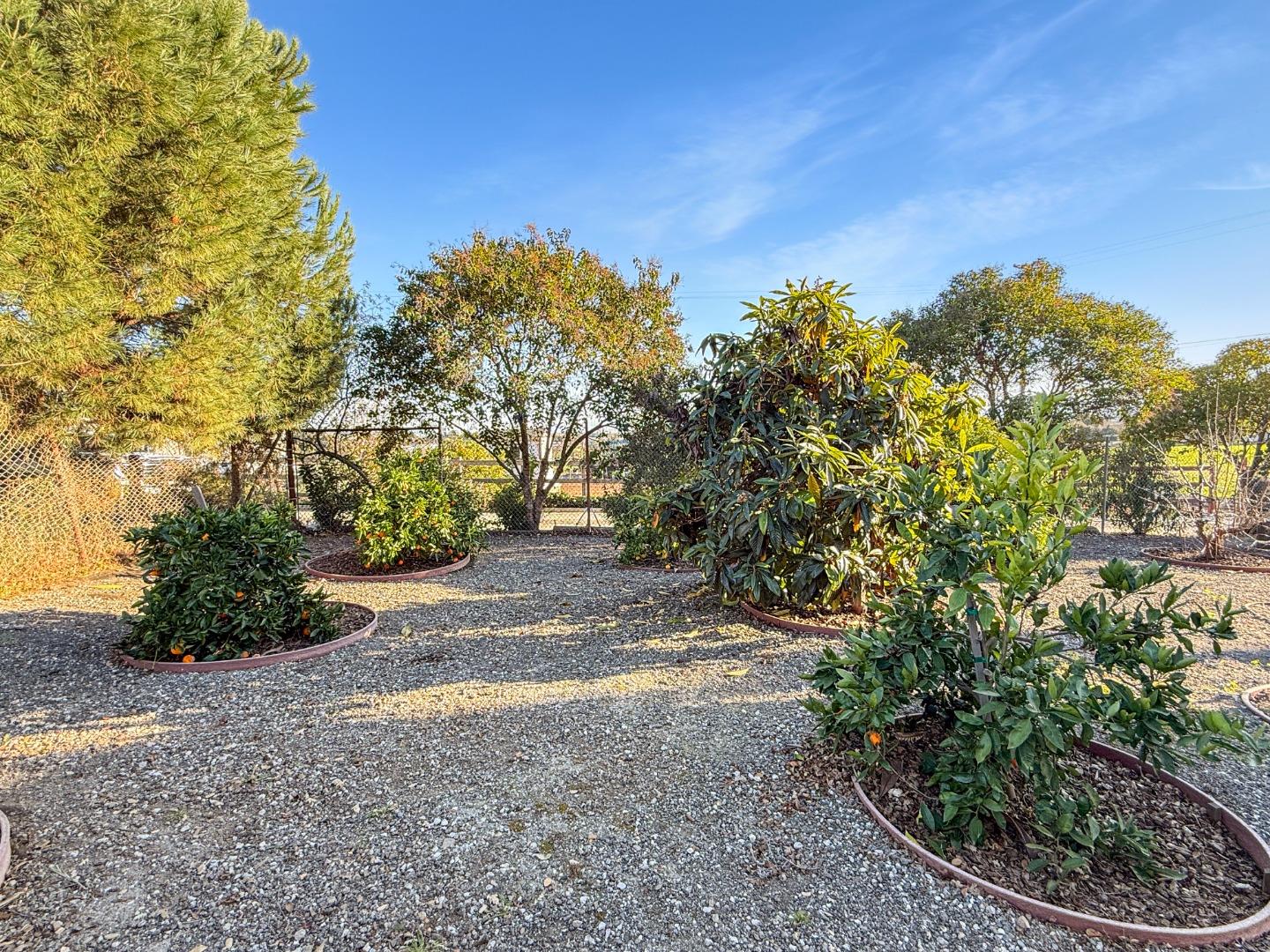 Detail Gallery Image 28 of 53 For 2800 Roop Rd, Gilroy,  CA 95020 - 3 Beds | 4 Baths