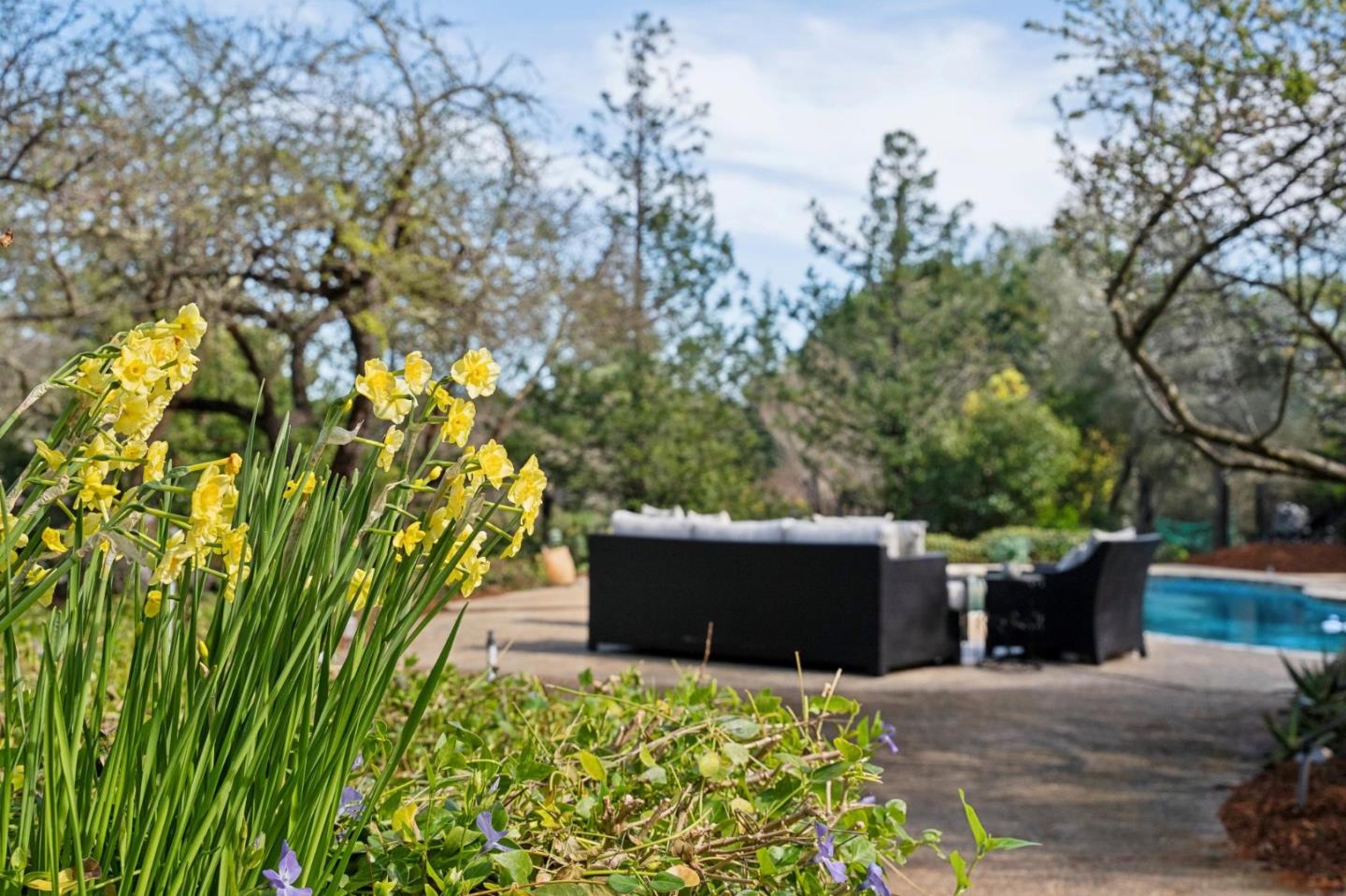 Detail Gallery Image 72 of 94 For 18074 Daves Ave, Monte Sereno,  CA 95030 - 4 Beds | 3/1 Baths