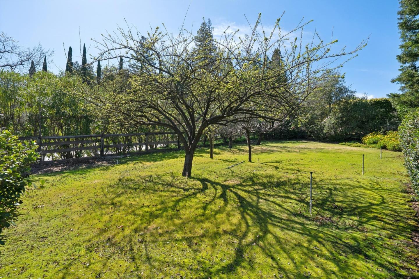 Detail Gallery Image 78 of 94 For 18074 Daves Ave, Monte Sereno,  CA 95030 - 4 Beds | 3/1 Baths