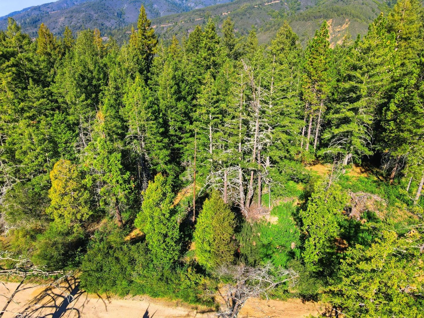 Detail Gallery Image 3 of 11 For 0 Loma Prieta Ave, Los Gatos,  CA 95033 - – Beds | – Baths