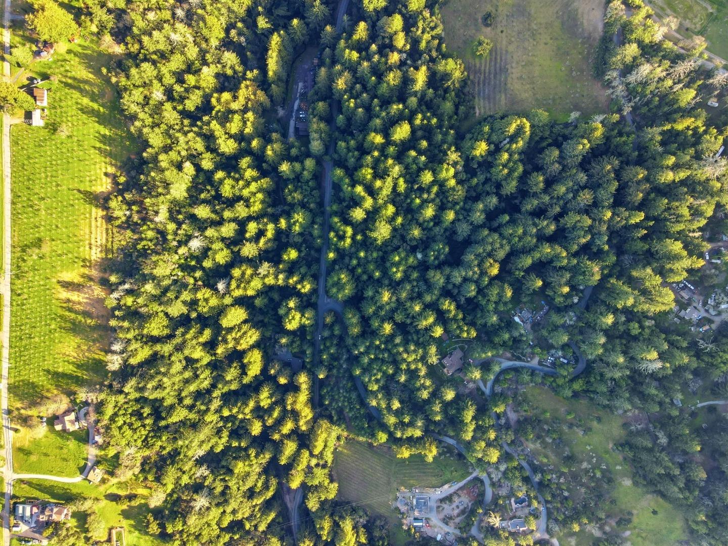 Detail Gallery Image 6 of 13 For 24580 Loma Prieta Ave, Los Gatos,  CA 95033 - 2 Beds | 1 Baths